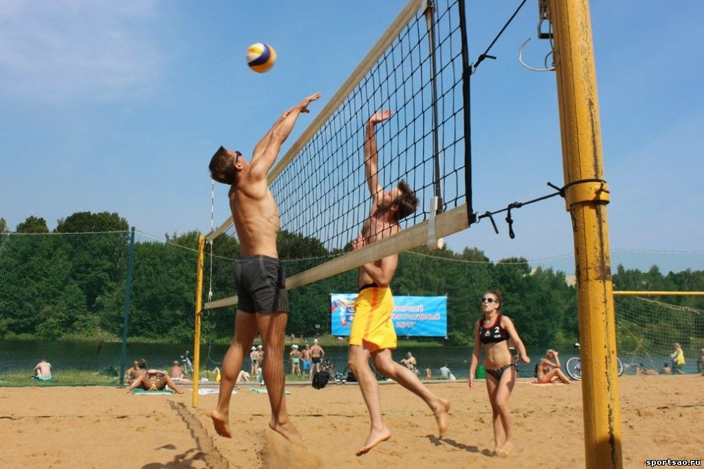 � ��� ���������� �������� ������ �� �������� ���������