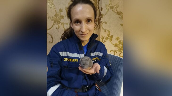 � ������ ������ ������, ���������� � ����������� ����