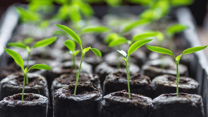 ������� ���������, ��� ����� �������� � ������� ���������