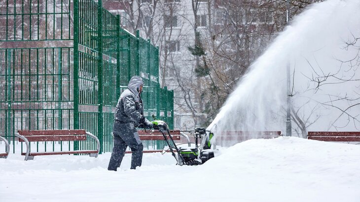 ������������ ������ ������ ���������� ������������� ����������� ���������