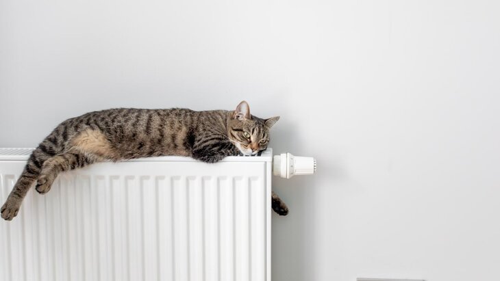 ������� �������������� ������ ���������� �� ����������� ��������� ��-�� ����������