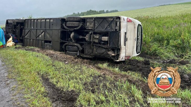 ������� � 40 ����������� ����������� � ��������