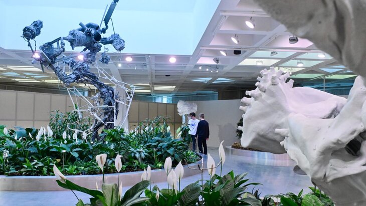 ����-�������� �����: ���������� �� ���� � ��� � ����� ������ ��������