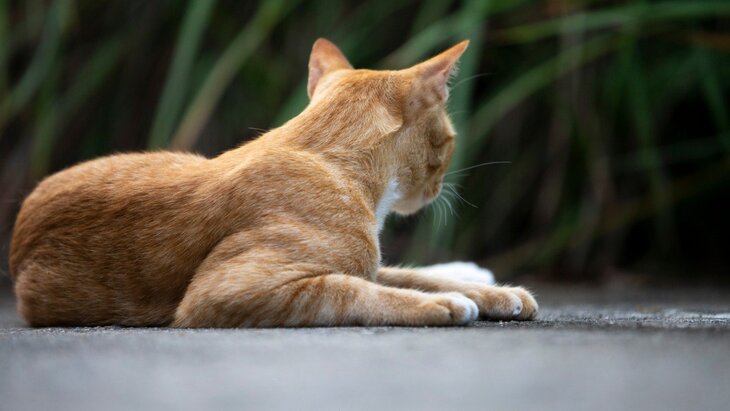 �������� ��������� ����� 1,3 ��� �������� �� ������ �����, ������� �� �������� � ���