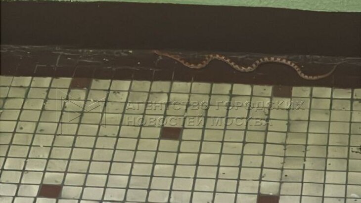 ���� �������� � �������� ������ ���� �� ���-������ ������