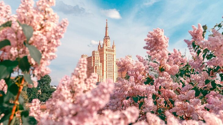 ������ "����� � ������" �������� � ������� Russpass