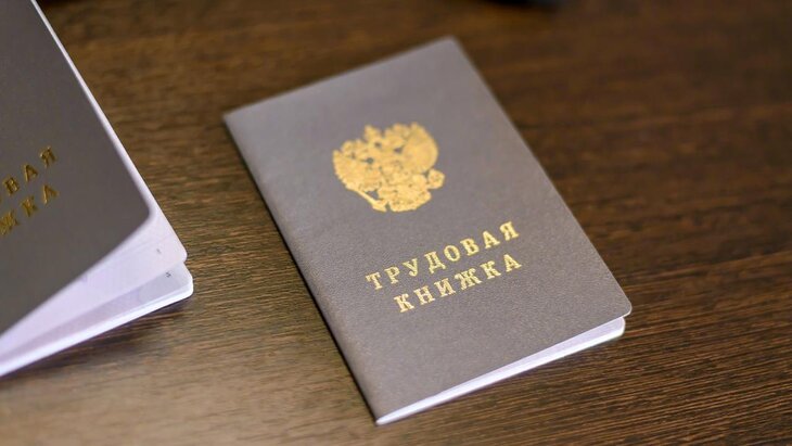 ������� ������ ����������� ������ ������������� � ����������� ���������� � 2025 ����