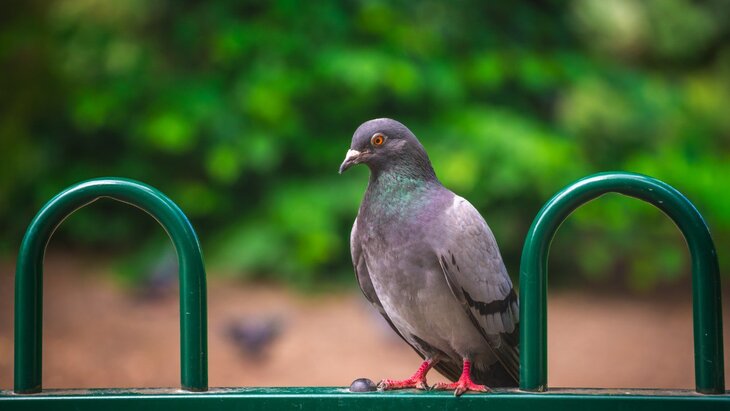 ������� � ����� ��������� ������ � ���