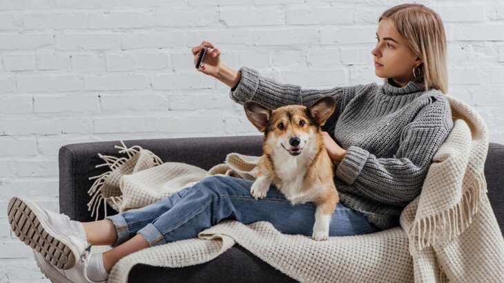 � �� ���������� ������ ������������ ����������� �������� ��������