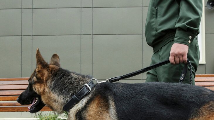 � ���������� ����������� ���������� � ������� ��� �� ����� �����