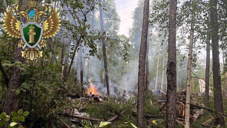 ������������� �������� ��� �������� ��-24 �������� �� 5 ��� ������