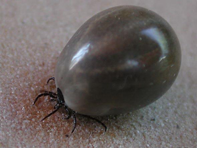 ����� �������: �� ������ � ������ ���������������� 18 ������� ��������� ���������� 