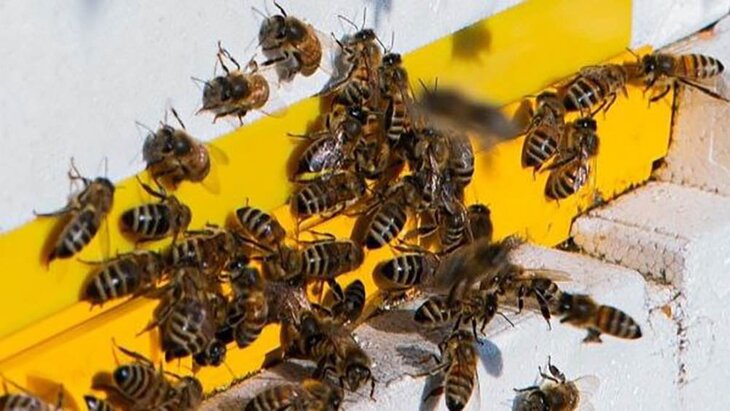 ����������� ������� ��������� ���� �� ��������� �������