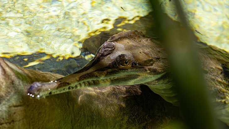 ������������� ��������� ���������� � "�����������" �� ����