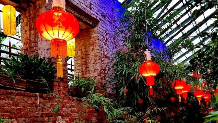 ��������� ���������� ������ ���� �������� � "����������� �������" 7 �������