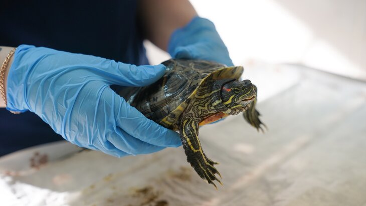 ��������� ������� ������� ������ � ����� �� ��������� ����������