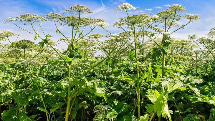 � �� ���������� � ����� ������� ��� ���������� ��������� ��������