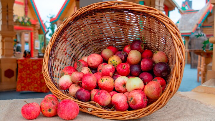 ������� ����������, ��� �������� ���� �������� �����