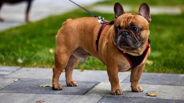 ����������������� ������ "�������� �������" ��������� � �����