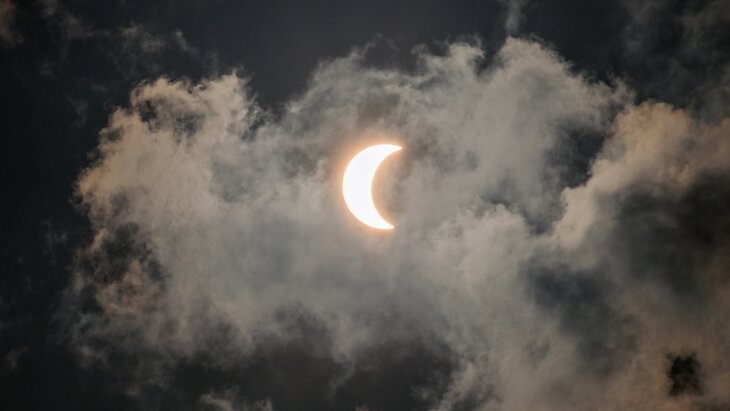 �������� ������ ������� �������� ������ 19 ��������