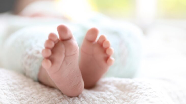 ����� � ����������� � �������� ��� �������� ������� Mellstroy ��������� ������