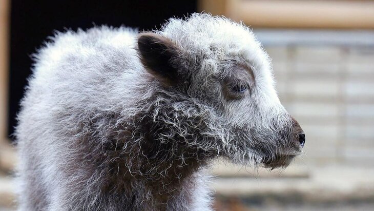 ������� ��������� ��� �������� �� ���� � ���������� ��������