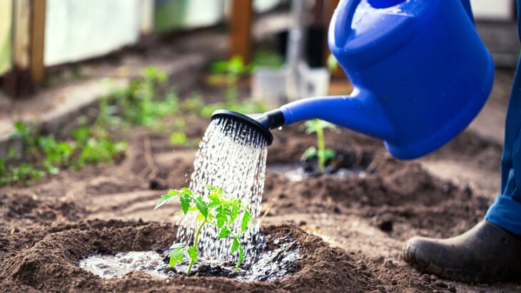 ������� ����������, ������� ���������� ��������� �� ���������� � ������