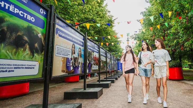 ������������ � ������������ ��������� �� ������� ��������