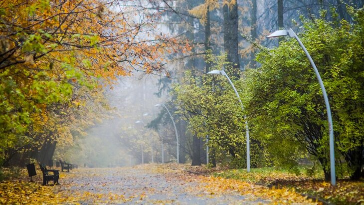 ����������� ����� �������� � ������ �� ����� ������