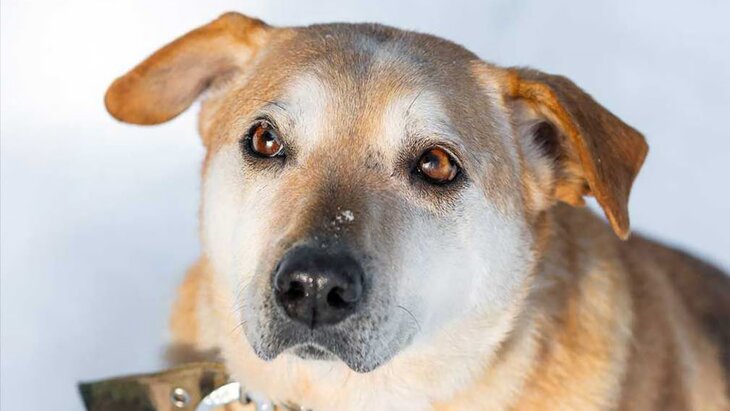 ���� ������� �� ������ ������� ����� �� ��������� "�������� ��������� � �����"