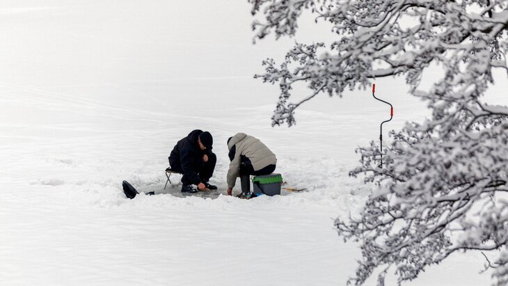 � �� ���������� ������ ������ �� ���������� ������ ����� ����