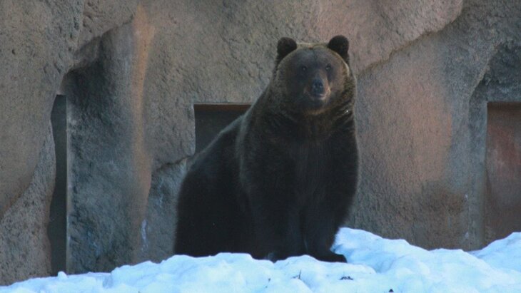 ������� ���� ��������� ����� ������ � �������� �������