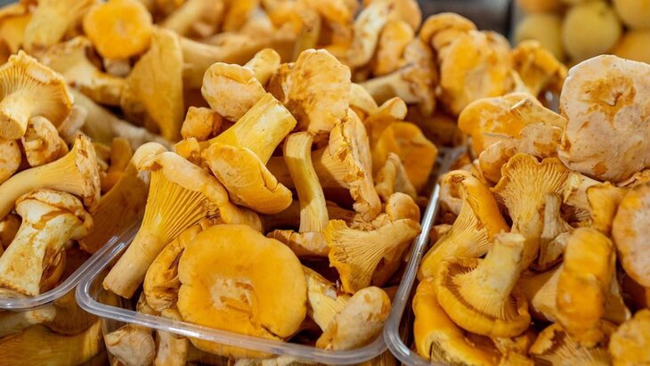 ������� �������� �� �������� ������ �� �������� ��������� ���