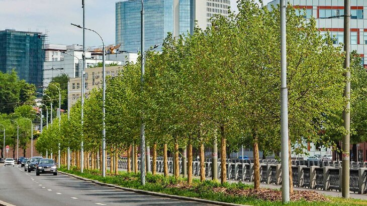 ����� 700 �������� �������� �� ���������� ���� � ������