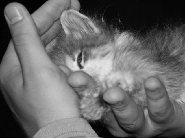 �� ������ ������ ������ ����� ������� � �����, ������ ��������