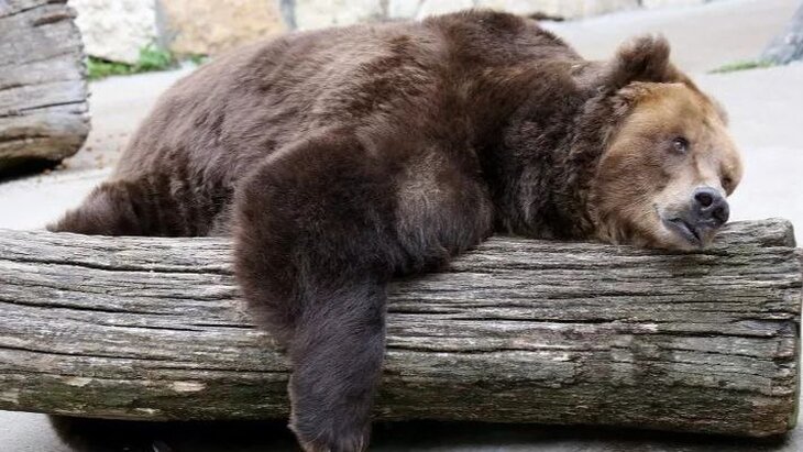 ������� � ���������� �������� ������ ���������� �������� �� ������