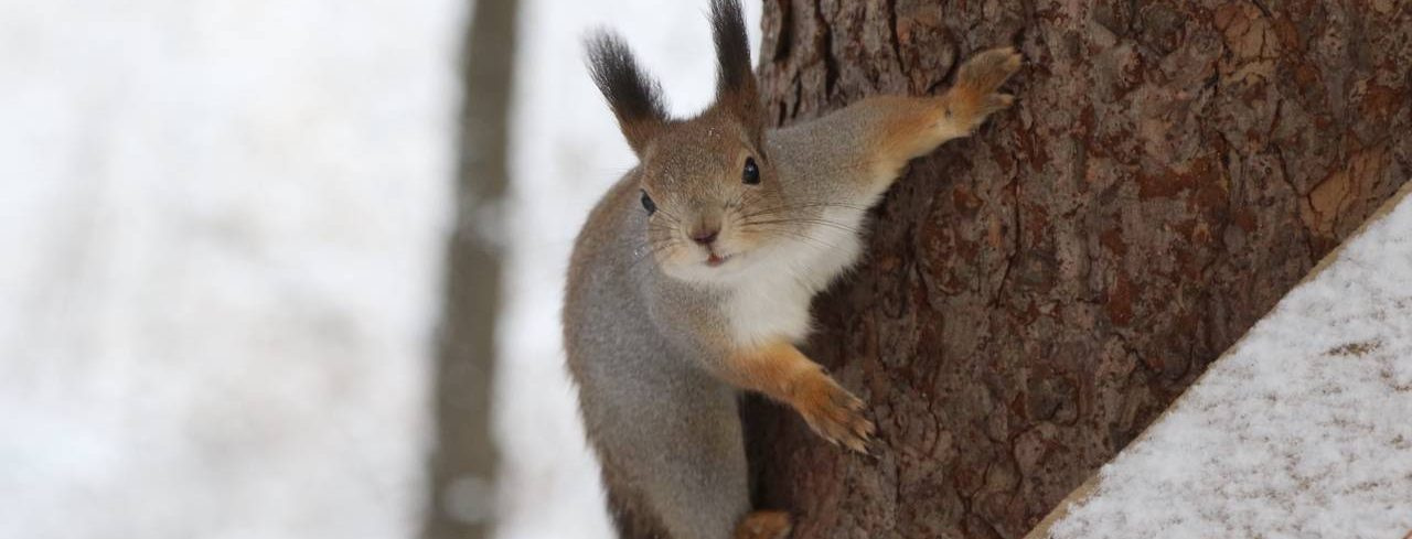 �������� ���� ����� ������� � ��������� ���� 30 ������