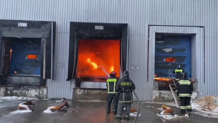 ������� ������ �� ������ � ����������� �������� 5 ����� ���������� ������