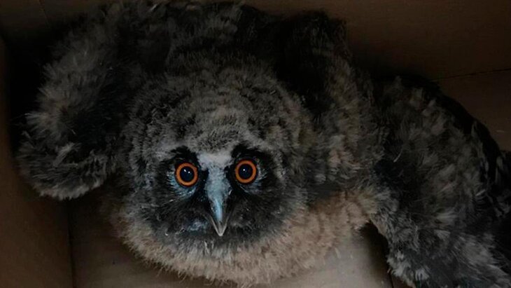 ������ ������� ��� ���������� � ����� �� ������ ������