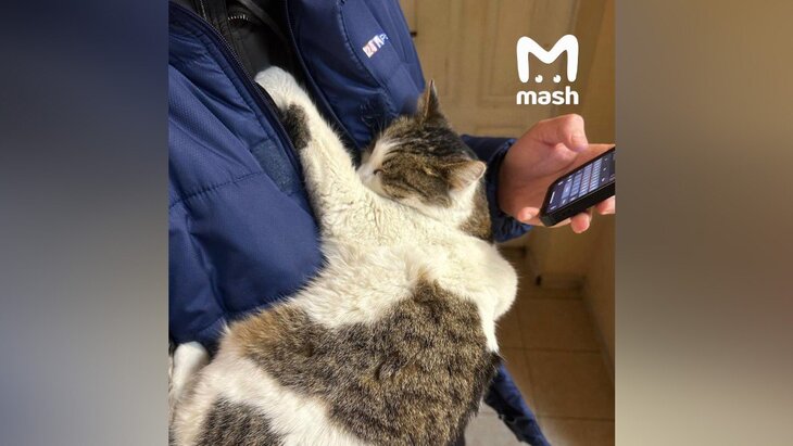 ������ ���������� � "������������ ������" ����� ���� ����� ������ � ������� ������