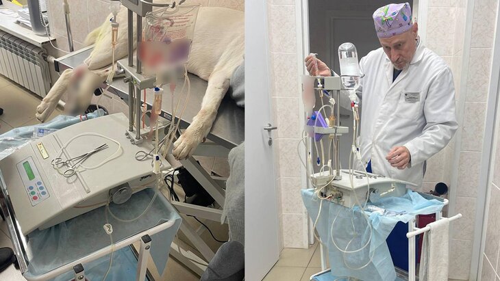 ���������� ���������� ������ ������ � ������� ������� ������������