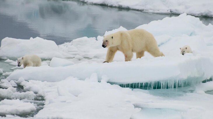 �� ������������ ��� ������� �������� ������� ����� ������ �������