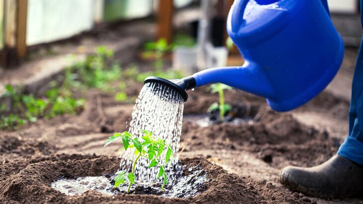 ������� ��������� � ���������� ������ �������� �����