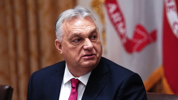 ����� ������, ��� ������� ����� �������� ������ �����