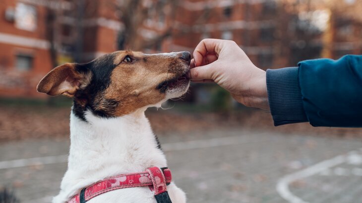 ��������� ����������, ��� ������� ������ �� ������ �� ����� ��������