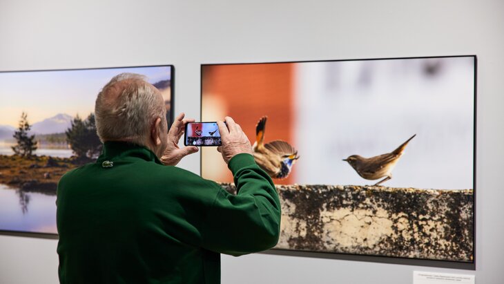 ������ ������ ������� �������� ��������� ������� "������������ ������"