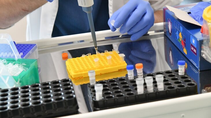 � ������ �������� 4 ������ ��������� ������������� ������������ NB.1.8.1