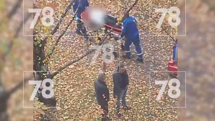 ��������������� ������ �� ���� ����� � �����-����������