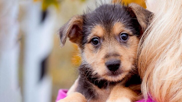 ��� ������ � ���������� ���������, ������� �� ������ ����� "����������"