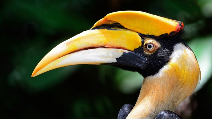 ��������� ����� ������ �� �������������� ��������